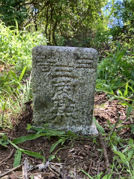 20250621屏東巴士墨山-草埔後山2821403