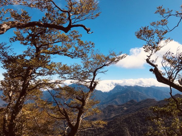 北得拉曼步道內鳥嘴山O行縱走1497763