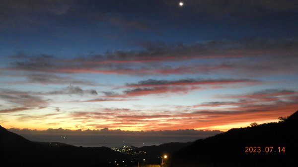 雲山水花鳥蝶 - 天龍國阿伯的日常，沒鳥也沒蝶槓龜 7/14&172217403