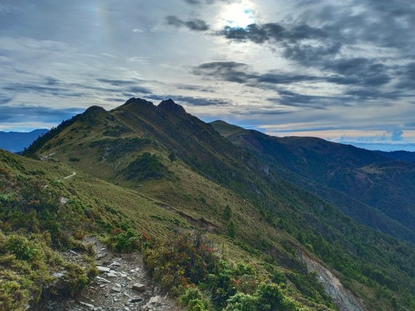 20220625台東海端向陽山、向陽山北峰、三叉山、嘉明湖1745664
