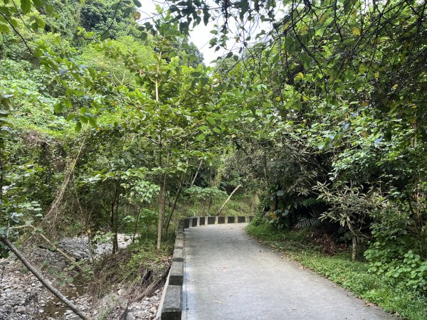 [百山百鳥尋旅-04/15] 2025_0817 龍過脈森林步道2863238