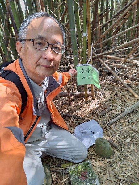 小中嵙登山步道 + 大堀底山+尾文坑山 202402132430946