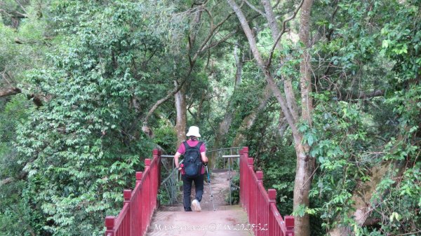 《彰化》稜線雙龍｜田中森林登山步道O型202506292824372