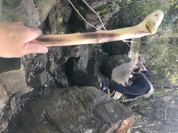 仙山（靈洞宮、協靈宮2723180