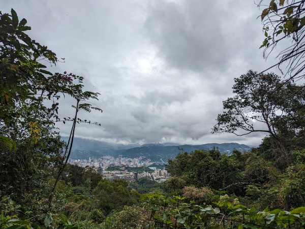 2023-01-23 劍潭山、大崙頭尾山親山步道2792274