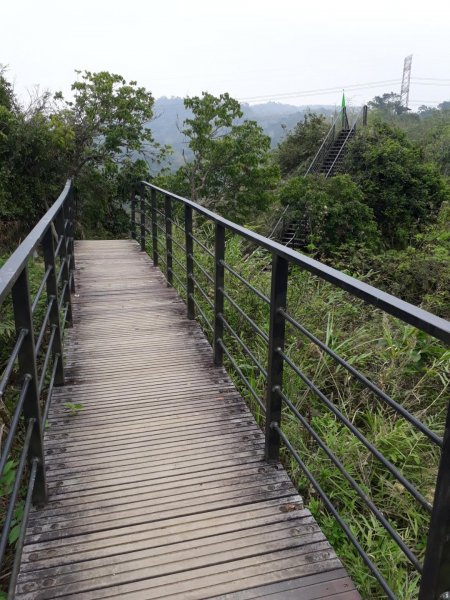 雲林林內龍過脈森林步道20190323550612