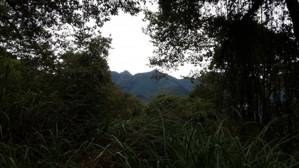 20181101~03 大霸群峰452925