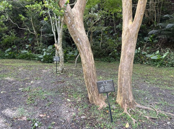 [屏步青雲 尋寶任務-03/10] 2024_0917 雙流國家森林遊樂區（瀑布步道）2597677