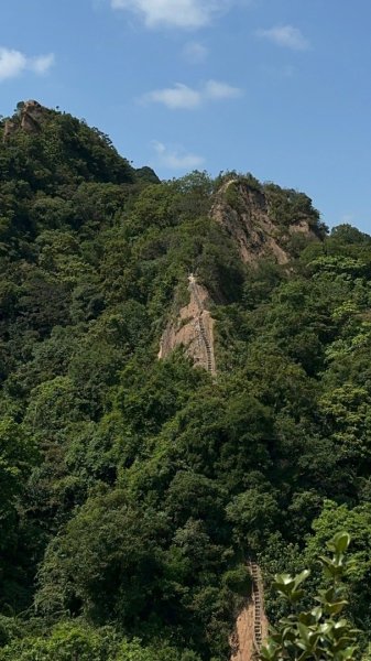 孝子山、普陀山、慈母峰賞鹿子野百合O走2592964