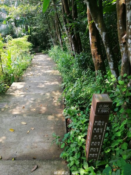 【基隆。仁愛】小百岳集起來。編號7小百岳~紅淡山步道1346372