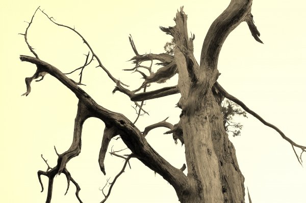 太平山/翠峰湖465036