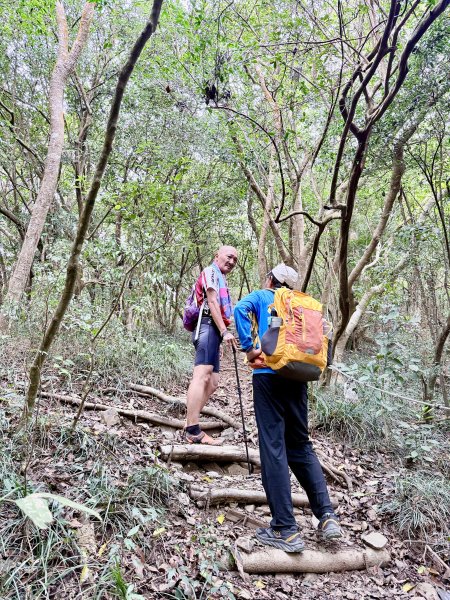 大漢林道登山趣(力里山.具馬奴山.崁頭窩山)  2026.3.283028041