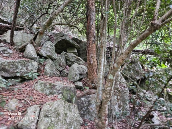 【谷關七雄】波津加(H1771.6m)肉腳配速成功2670525