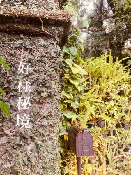 尋訪四國八十八番 石佛（藥師釋迦如來）觀音山石佛-弘法大師-水濂洞山-林安泰古宅2814385
