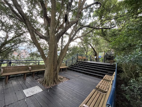 [百山百鳥尋旅-01/15] 2025_0807 和美山步道2854545