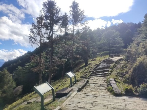 1141116麟趾山3098294