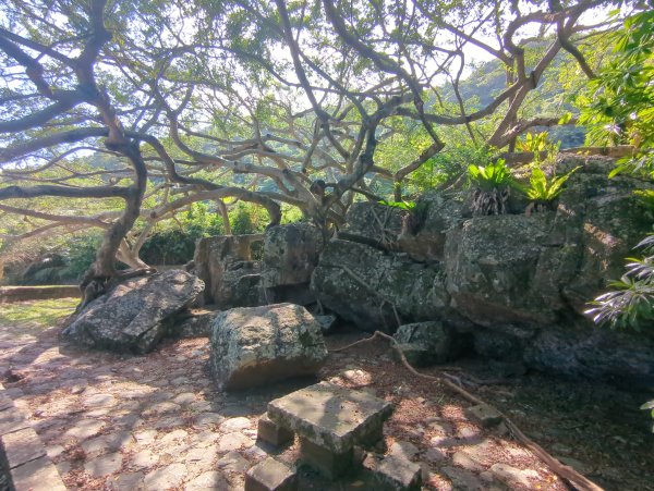 2026.07.04－北關海潮公園3087013