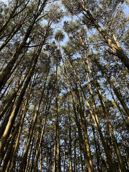 小百岳-稍來山2752433