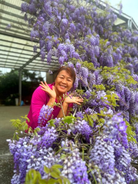 月眉山、海鼠山、生毛樹山、野薑花步道、進學古道3020776