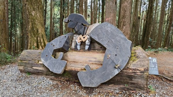 神阿縱走~台灣難抵極~大塔山2971468