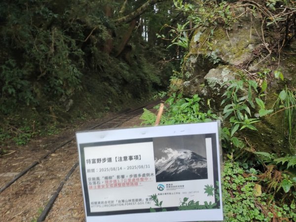 1140830特富野古道3099971