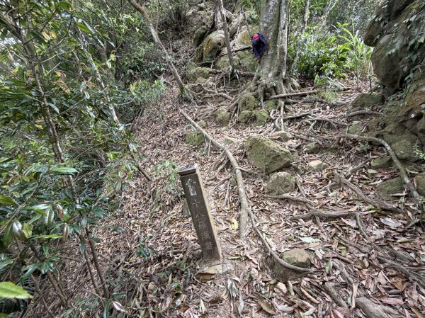 [微笑山線_第四段] 2026_0321 天上山系_十八羅漢岩3022126