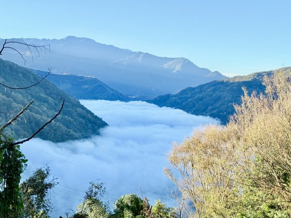 南投仁愛鄉基石巡禮-櫻櫻峰東北峰.清境山.岬山.關頭山北峰  2024.11.11