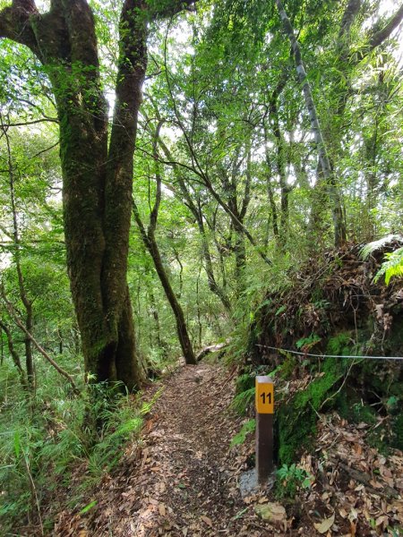 盧山六寶老大-尾上山1616387