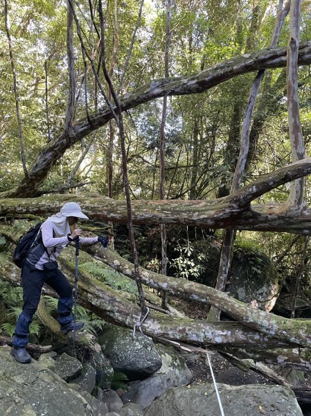 加里山隘勇線2913117