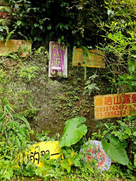 白蘭溪古道-2025森遊竹縣皮皮獅探險隊2895454