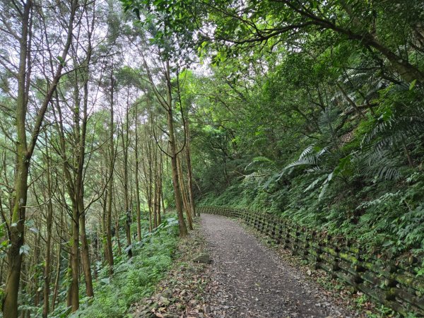 聖母登山步道（抹茶山）、三角崙山（小百岳）2774099