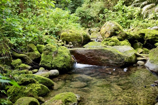 南坪古道：油羅溪上游814444