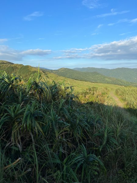 小百岳-灣坑頭山2637690