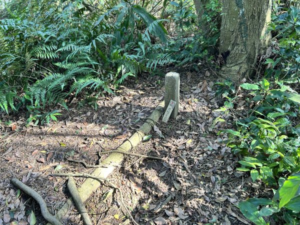 桃園金面山2752275