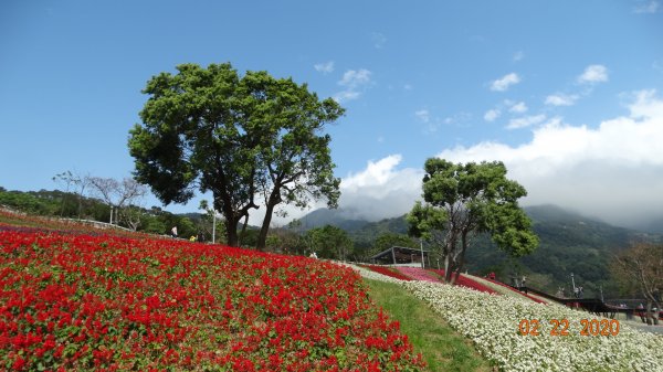 午餐的約會-北投三層崎/貴子坑845550