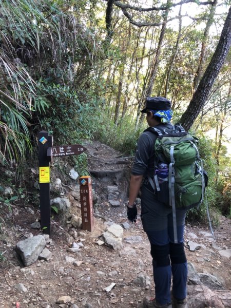 臺中 和平 馬崙山1150937