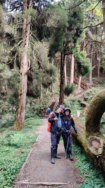 神阿縱走~台灣難抵極~大塔山2971472