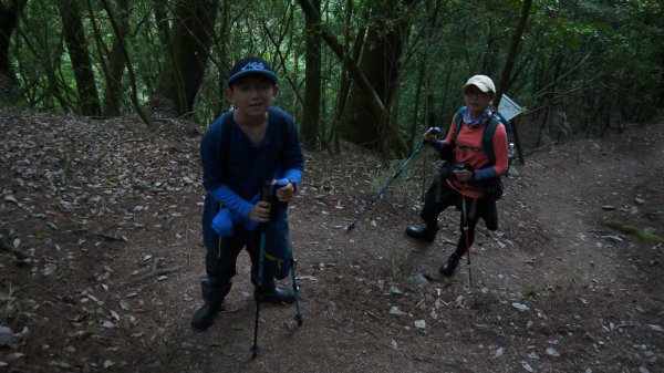 桃山單攻登山健行趣(百岳48號)1541916