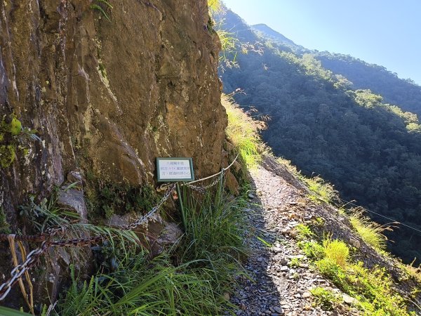 [玉山尋寶任務-07/12] 2025_0824 八通關雲龍瀑布步道2870651