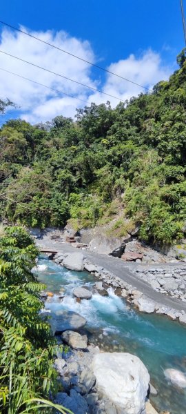花蓮瑞穗．富源國家森林遊樂區景觀步道202602203013162