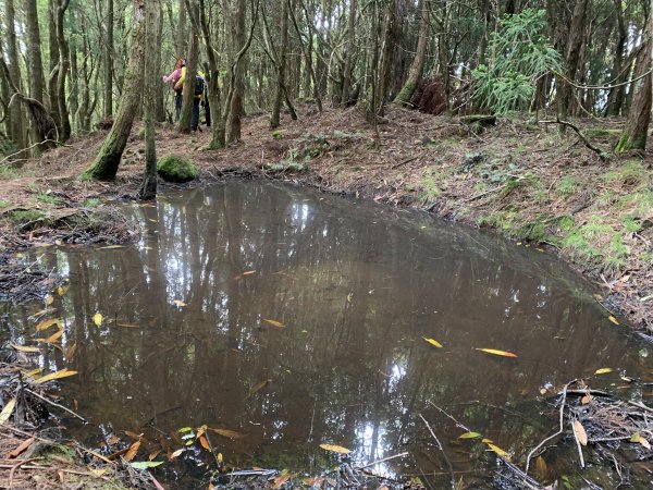 20250517義義兒玉山-東水山2791692