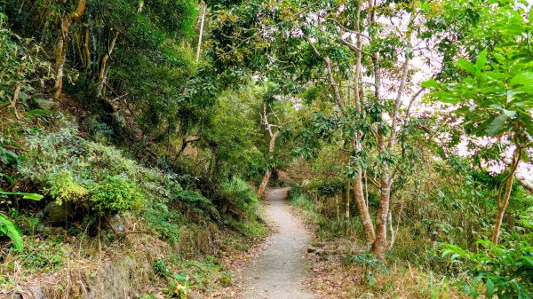 梅嶺竹子尖山2987424