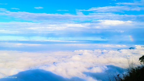 阿里山 #隙頂二延平 #頂石棹 #觀音圈 #雲海 #琉璃光 #雲瀑 #霧虹 11/172649771