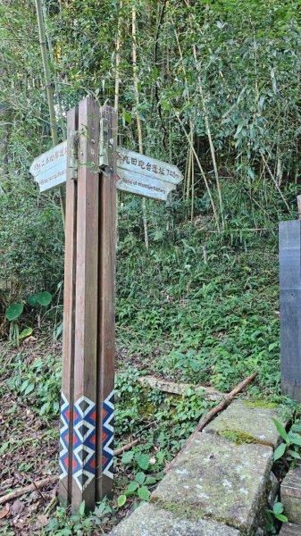 20251014雪見遊憩區 🚴‍♂️咖搭車走司馬限林道上東洗水山兩刷北坑山至大板根2916469