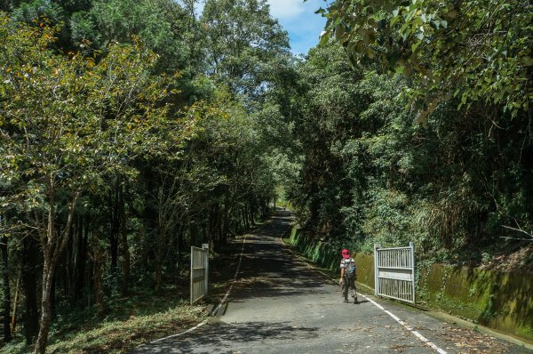 【南投】金龍山步道1436324