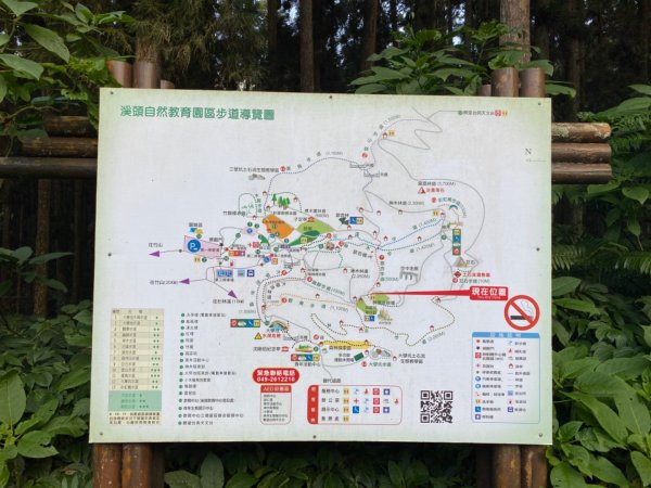 20191109貓仔們之溪頭森林步道探索757207