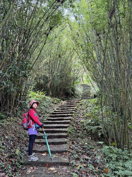 大山背山+騎龍山O繞2025.12.282979473