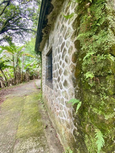 《陽明山的山林片刻｜沿著青春嶺路走向山野的綠意》2939235