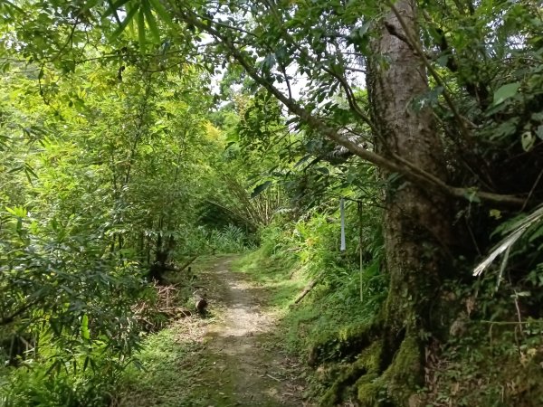 平溪區平溪子山遇雷雨O型2850083