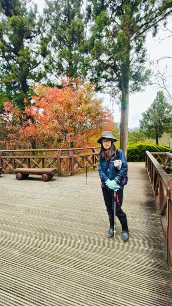 神阿縱走~台灣難抵極~大塔山2971527